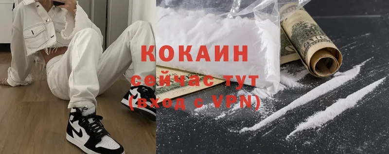 Cocaine Fish Scale  купить   Верхняя Пышма 